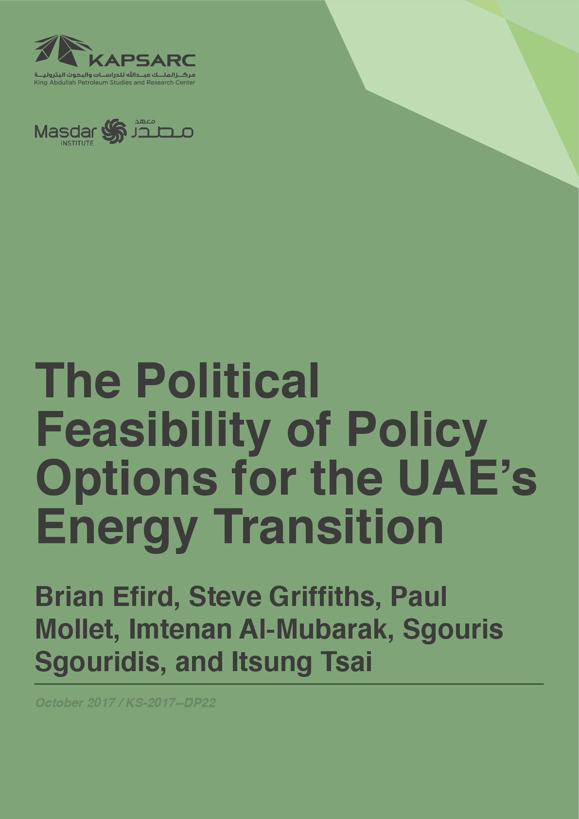 The Political Feasibility of Policy Options for the UAE’s Energy Transition (1)