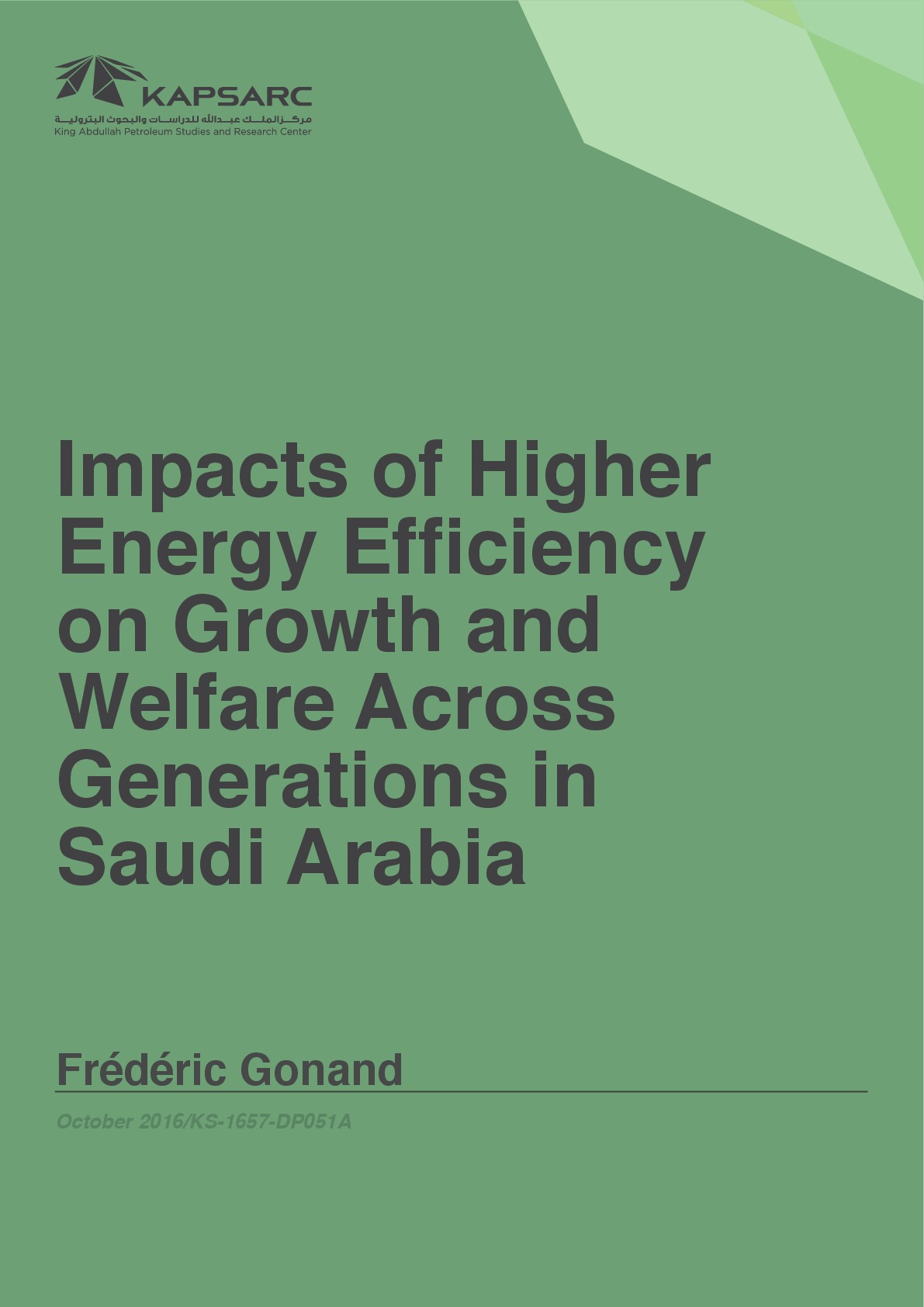 Impacts of Higher Energy Efficiency on Growth and Welfare Across Generations in Saudi Arabia (1)