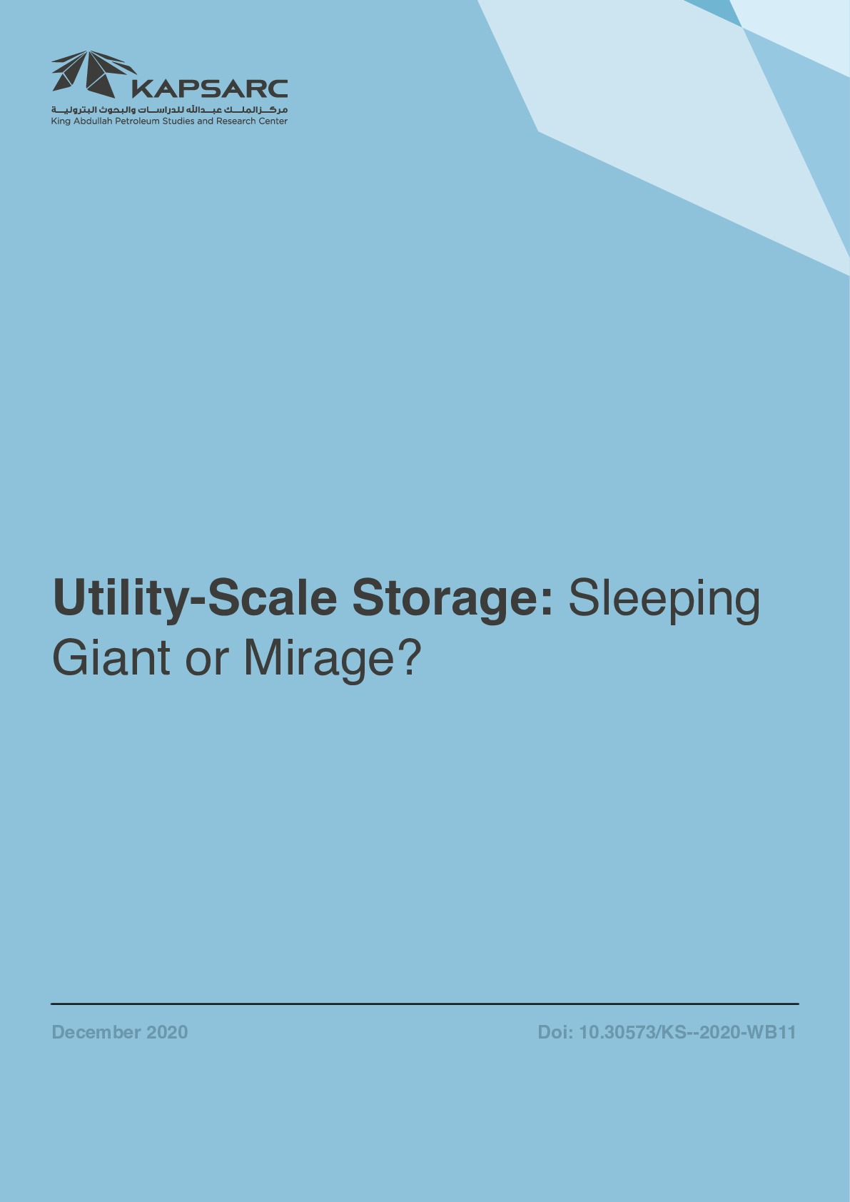 Utility-Scale Storage: Sleeping Giant or Mirage? (1)