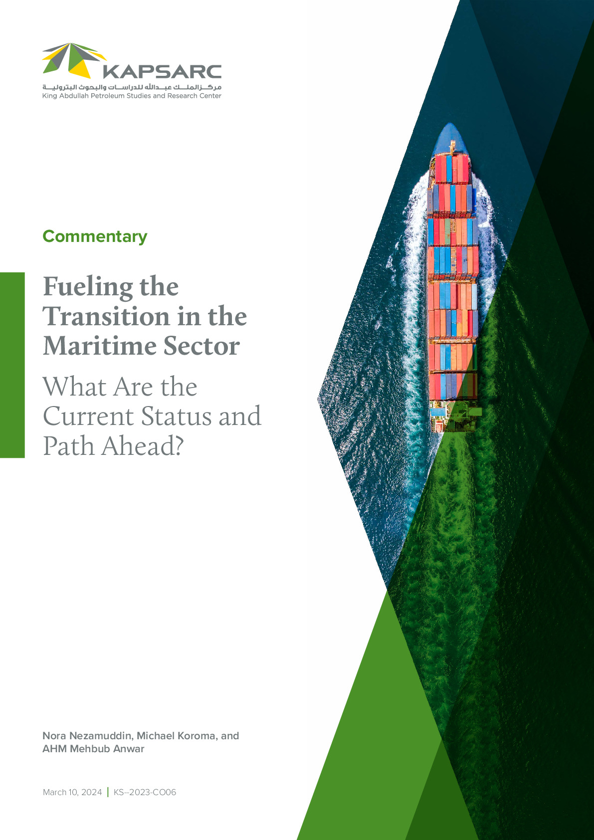 Fueling the Transition in the Maritime Sector: What Are the Current Status and Path Ahead? (1)