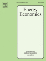 The Effects of a Shock to Critical Minerals Prices on the World Oil Price and Inflation