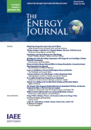 The Role of the Petrochemical Sector&amp;#8217;s Exports in the Diversification of the Saudi Economy. A Scenario Analysis of the Foreign and Domestic Price Shocks