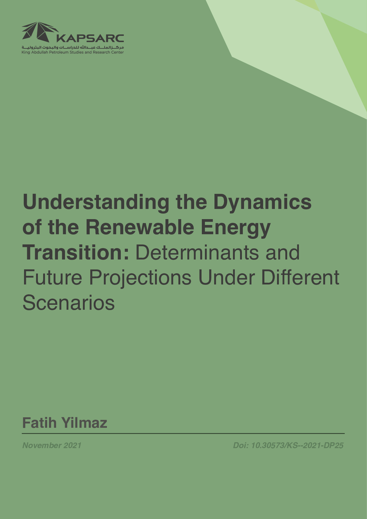 Understanding the Dynamics of the Renewable Energy Transition: The Determinants and Future Projections Under Different Scenarios (1)