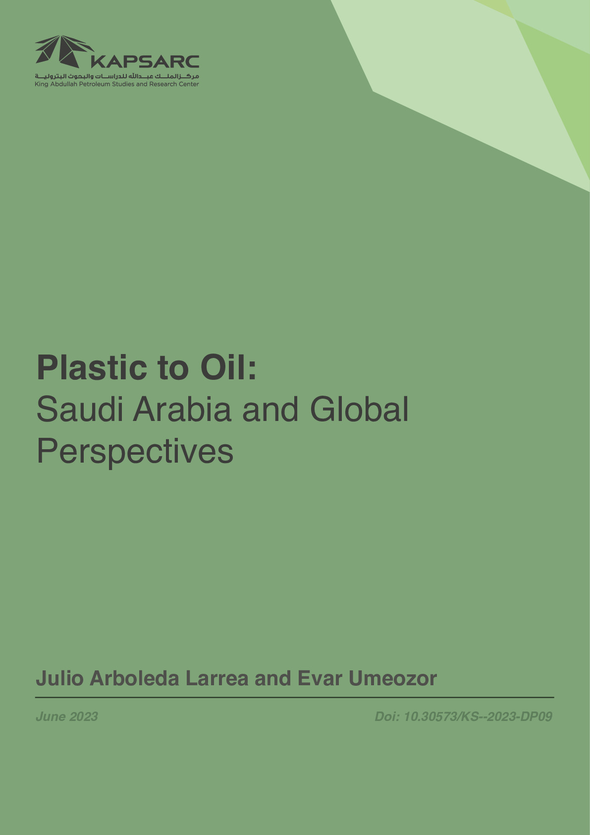 Plastic to Oil: Saudi Arabia and Global Perspectives (1)