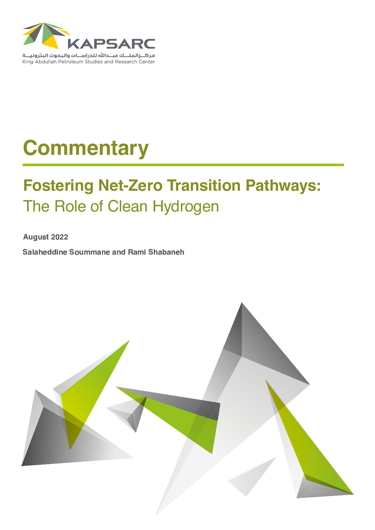 Fostering Net-Zero Transition Pathways: The Role of Clean Hydrogen (1)