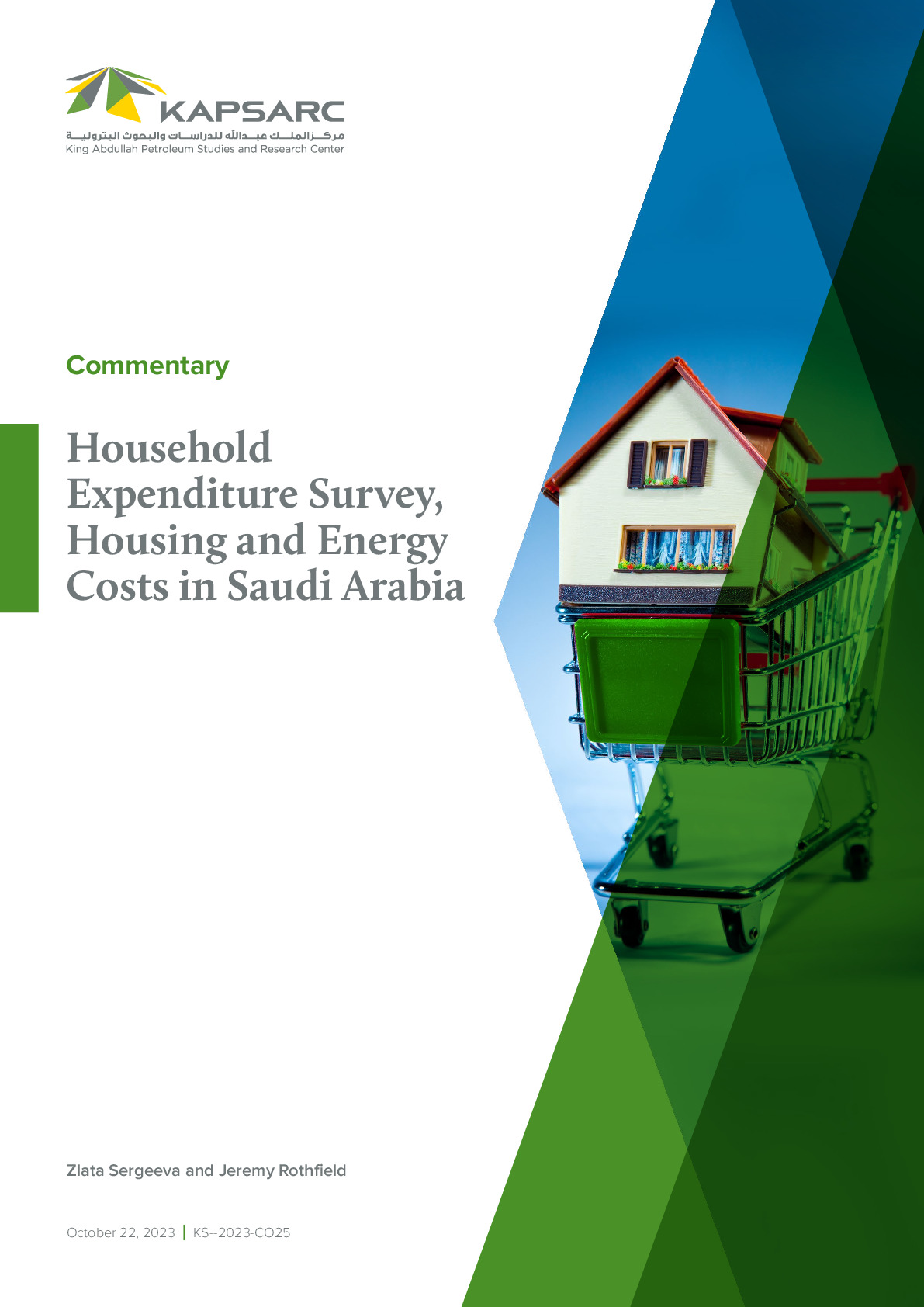 Household Expenditure Survey, Housing and Energy Costs in Saudi Arabia (1)