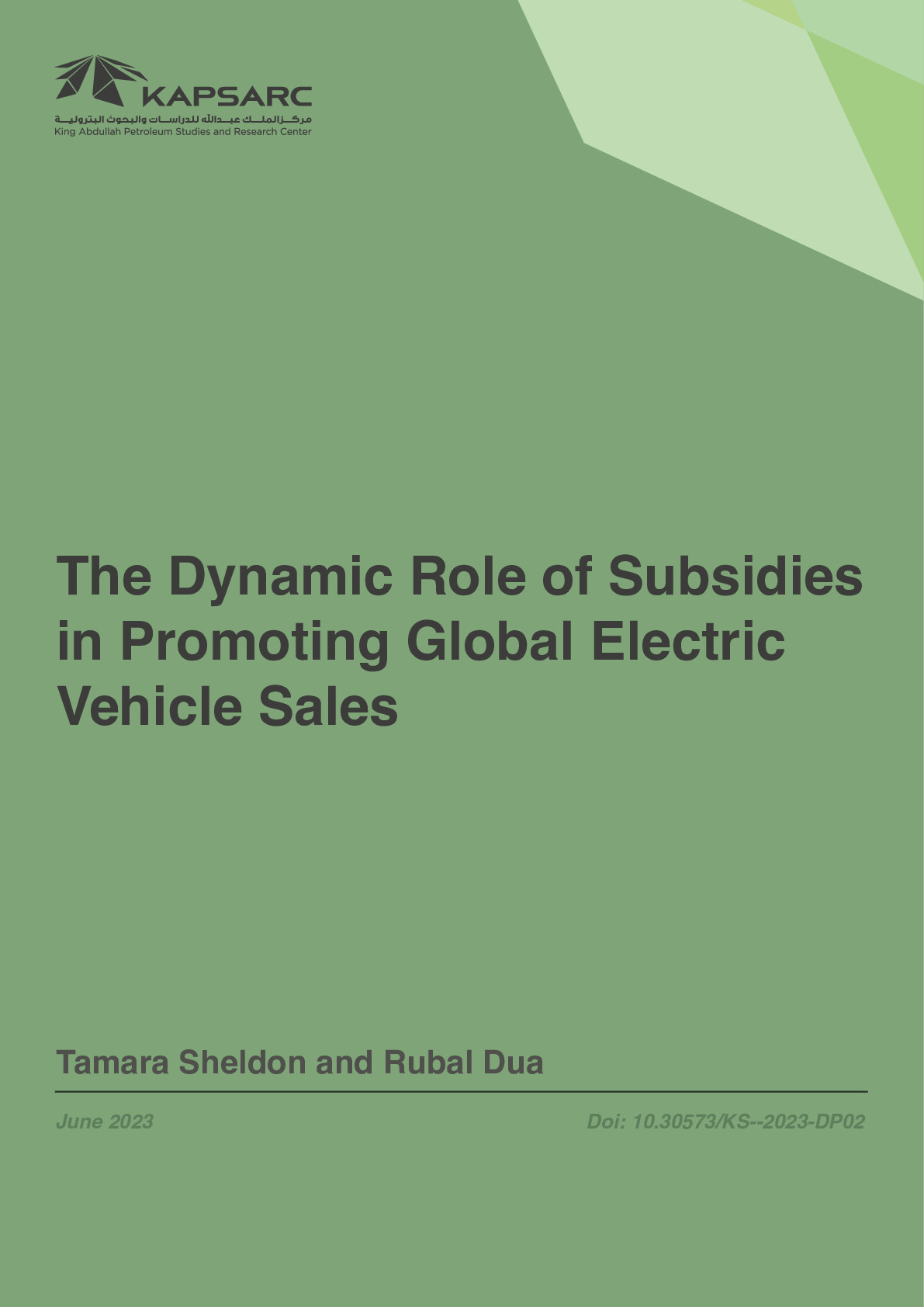 The Dynamic Role of Subsidies in Promoting Global Electric Vehicle Sales (2)