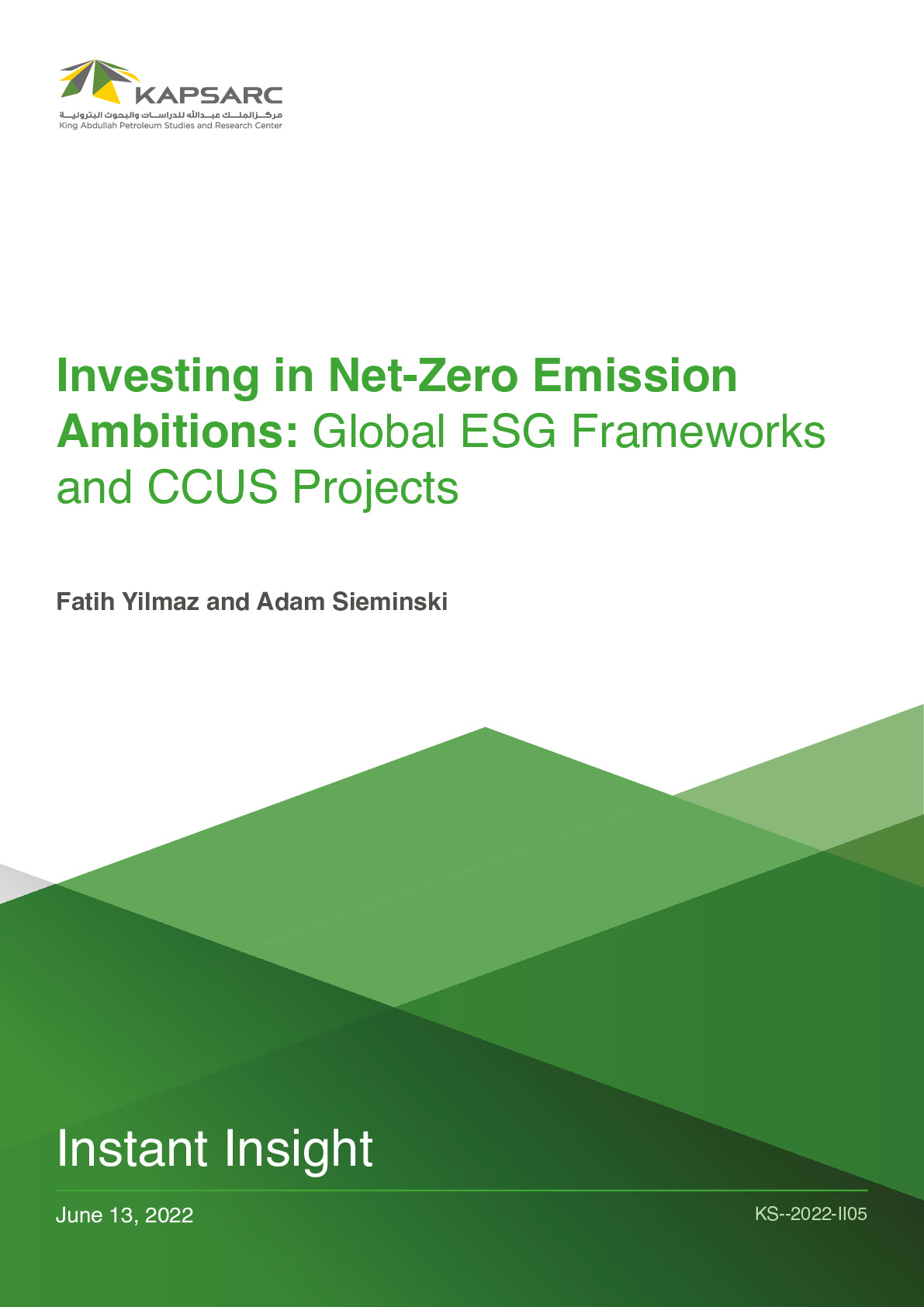 Investing in Net-Zero Emission Ambitions: Global ESG Frameworks and CCUS Projects (1)