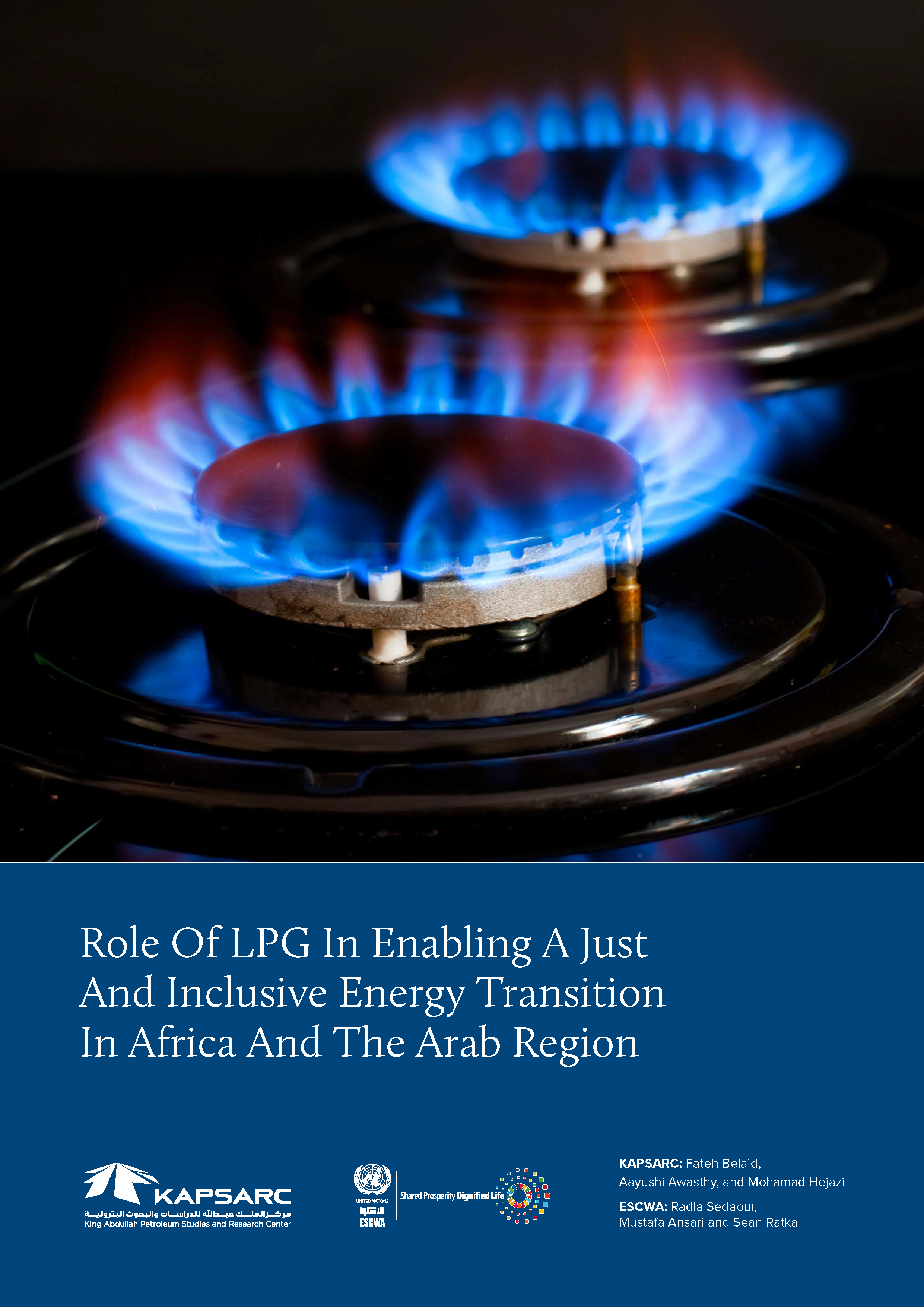 Role Of LPG In Enabling A Just And Inclusive Energy Transition In Africa And The Arab Region (1)