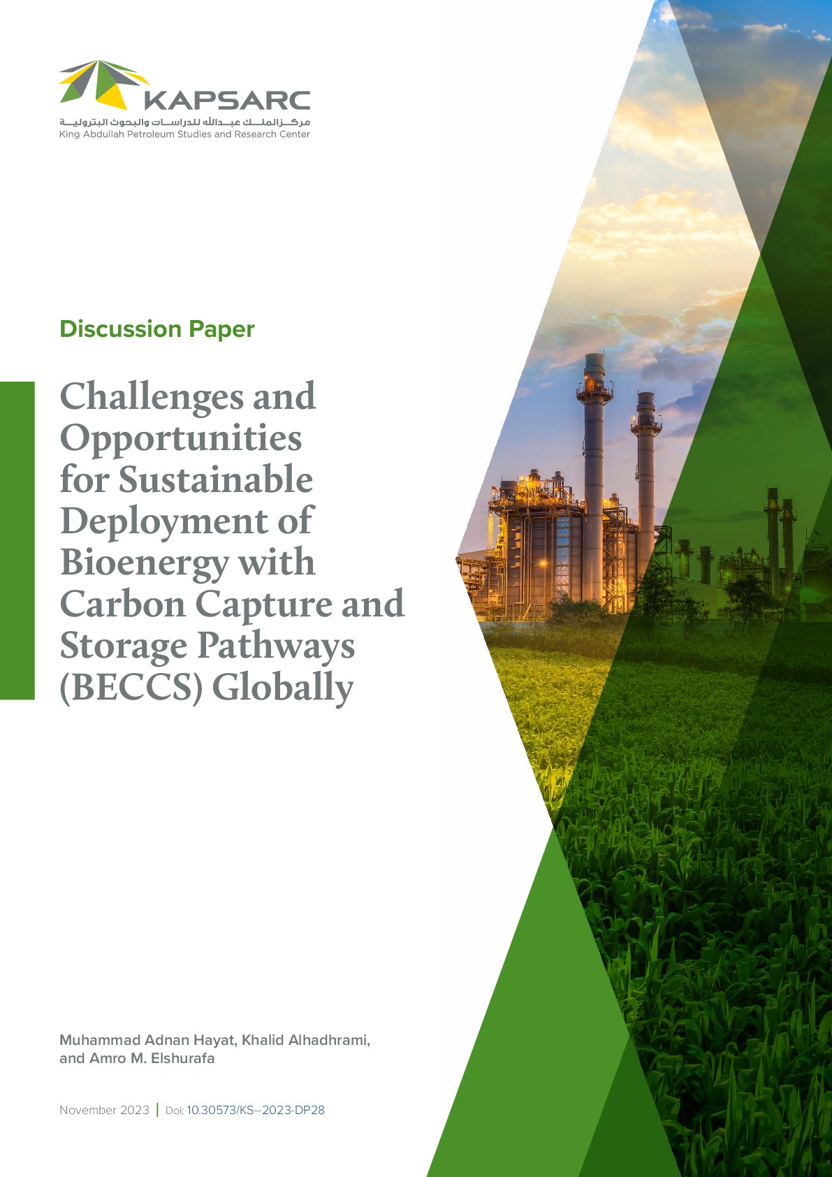 Challenges and Opportunities for Sustainable Deployment of Bioenergy with Carbon Capture and Storage Pathways (BECCS) Globally (1)