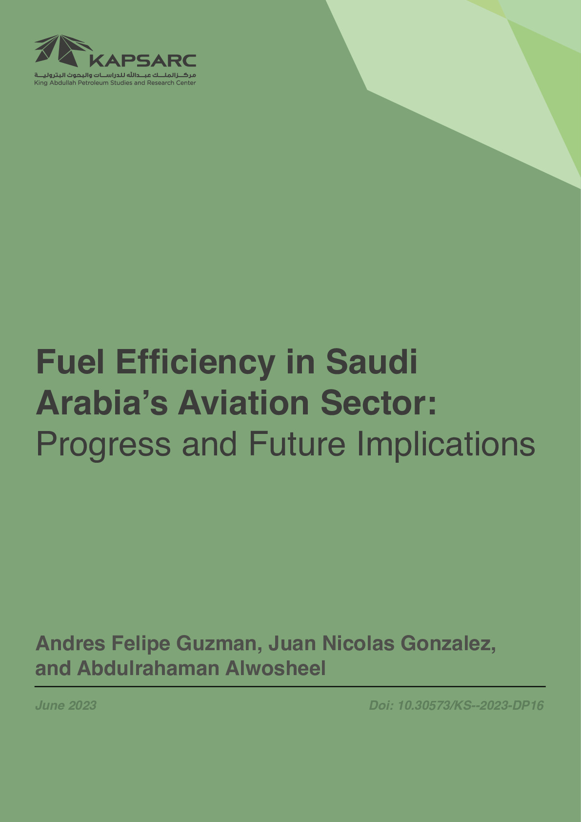 Fuel Efficiency in Saudi Arabia’s Aviation Sector: Progress and Future Implications (1)