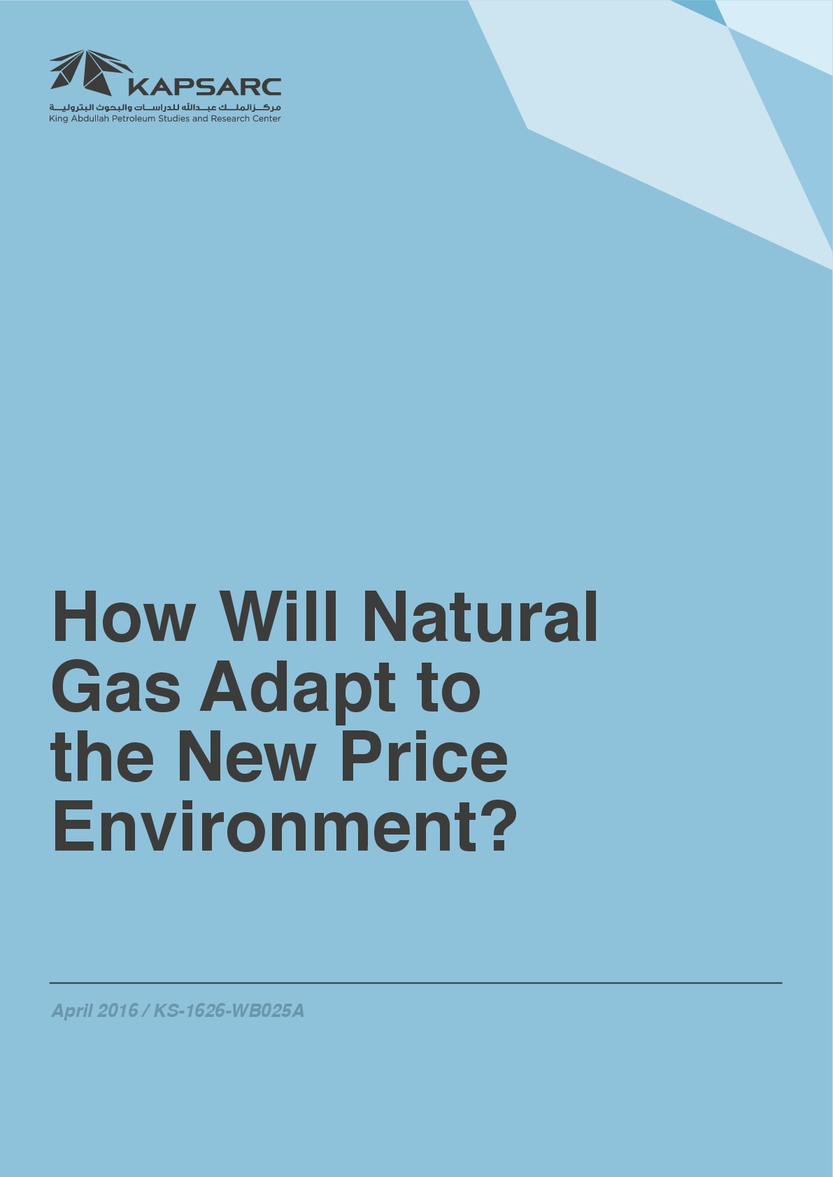 How Will Natural Gas Adapt to the New Price Environment? (1)