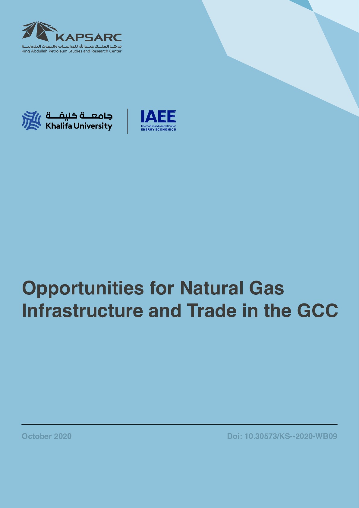 Opportunities for Natural Gas Trade and Infrastructure in the GCC (1)