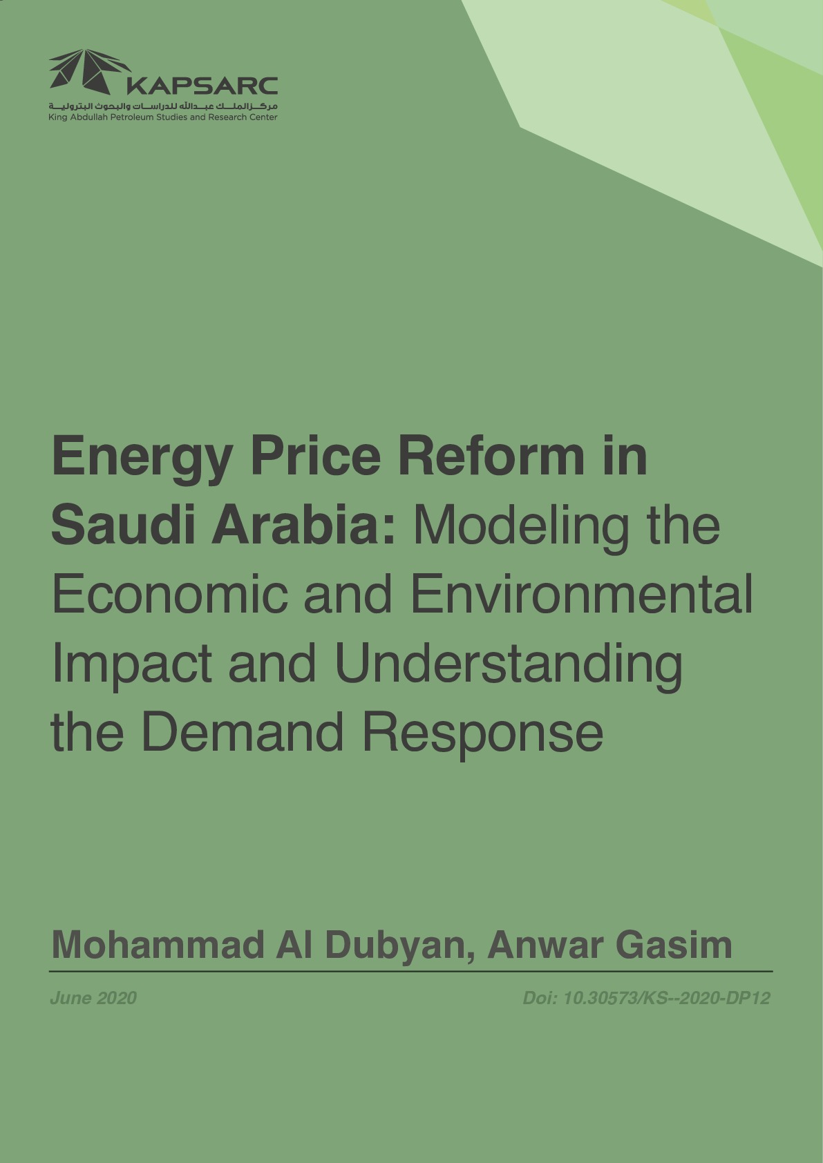 Energy Price Reform in Saudi Arabia: Modeling the Economic and Environmental Impact and Understanding the Demand Response (1)