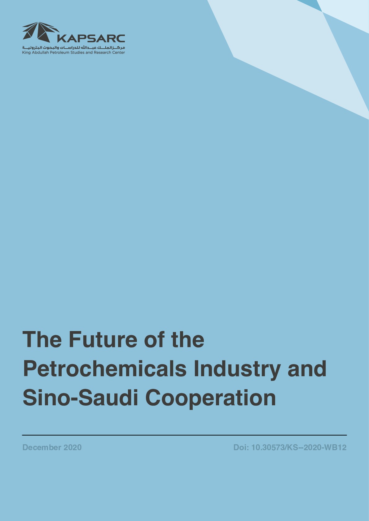 The Future of the Petrochemicals Industry and Sino-Saudi Cooperation (1)