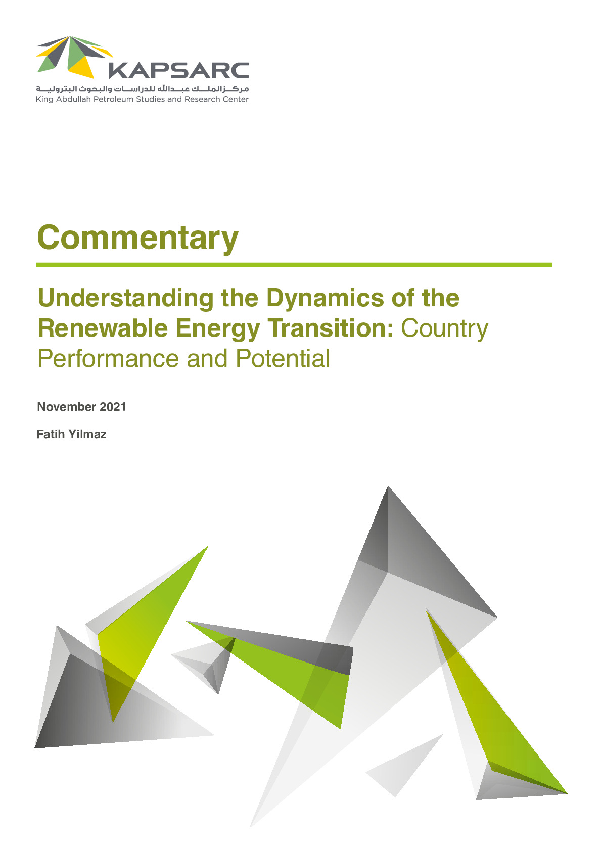 Understanding the Dynamics of Renewable Energy Transition: Country Performance and Potential (1)